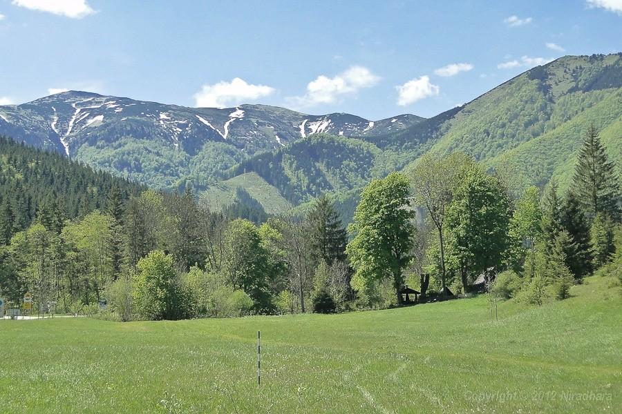 widok w stronę Wielkiego Krywania