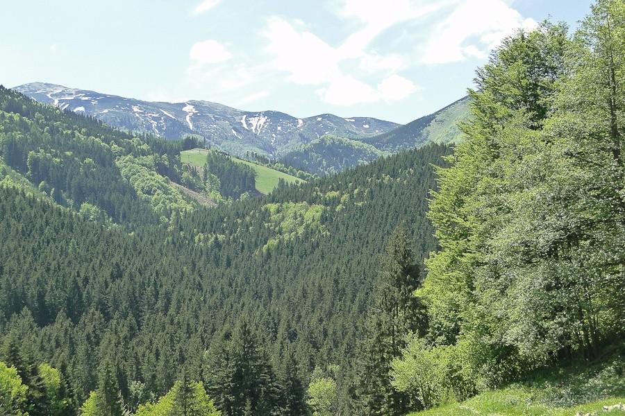 widok z hotelowego tarasu