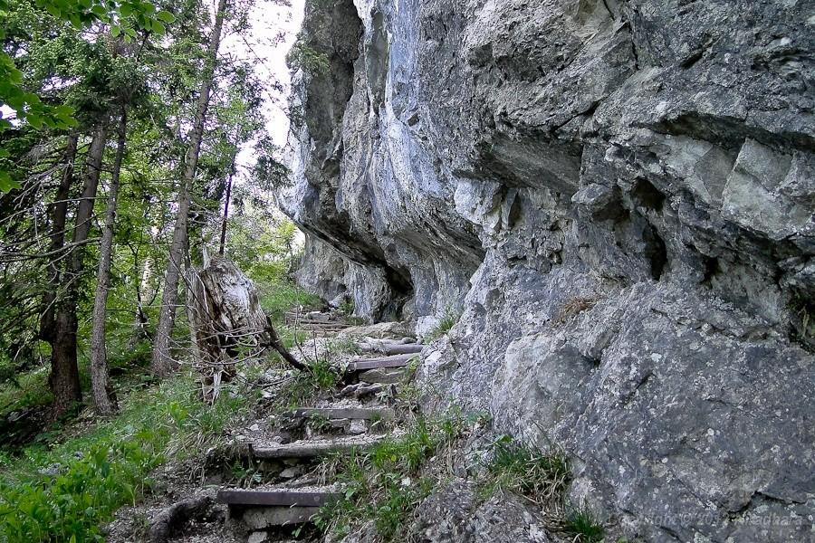 lajtowy chodniczek