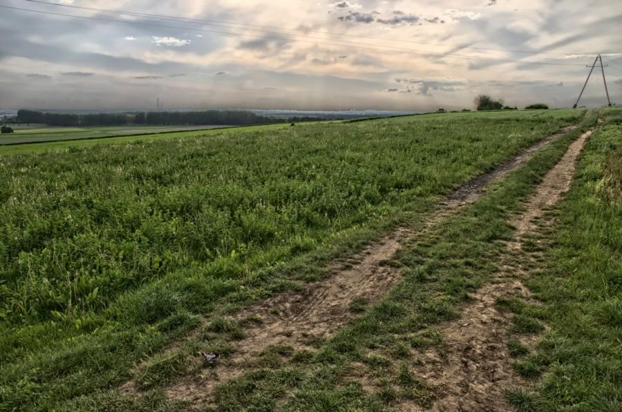 góra św. Klemensa w Lędzinach