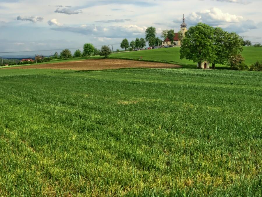 kościół św. Klemensa