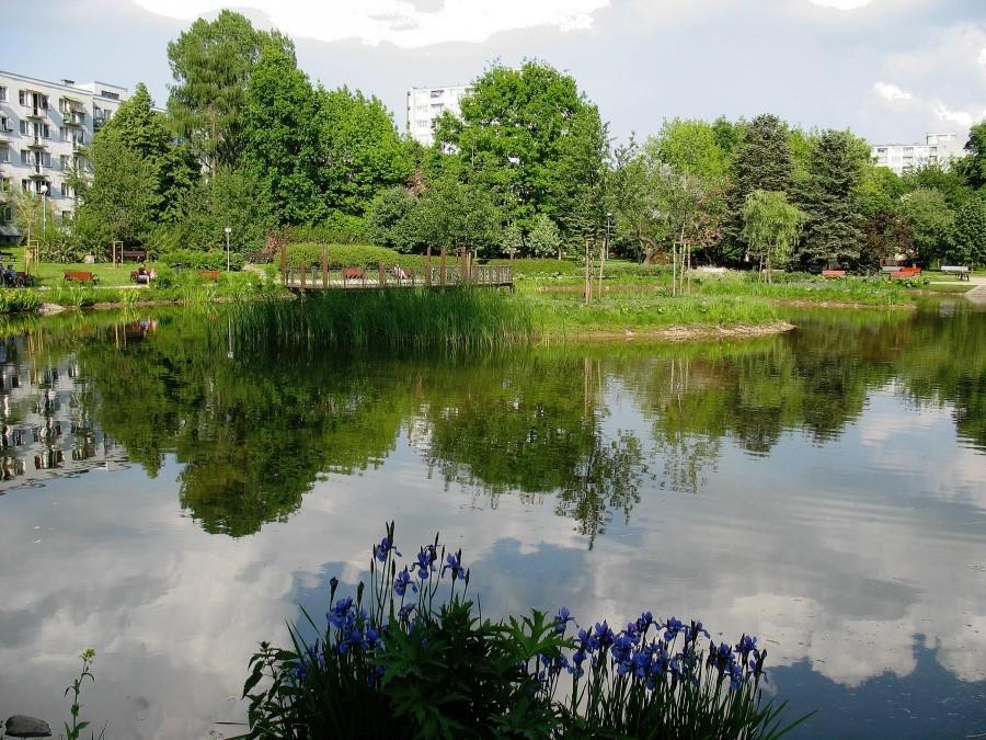 Park na Rakowcu