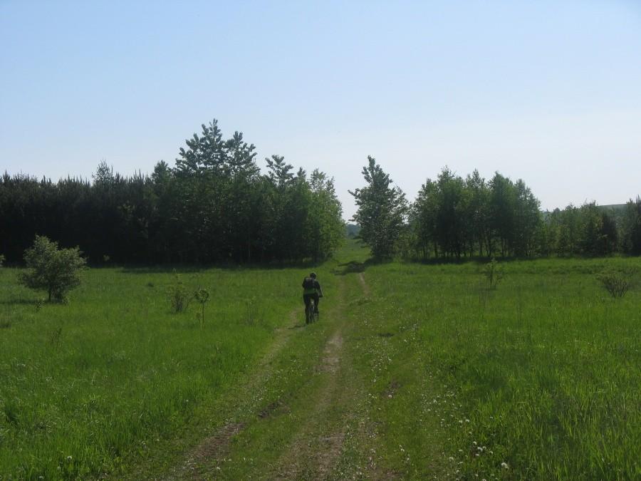 Między punktami
