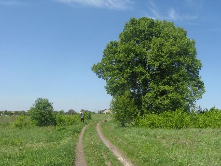 PK 3 - Krzyż będący kapliczką