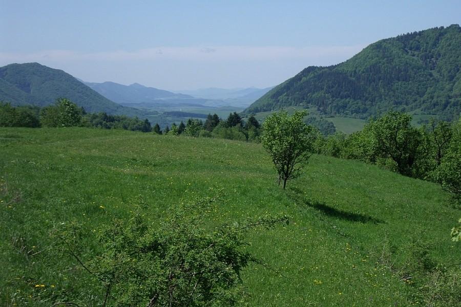 Gdy przekroczyliśmy wysokość 700 m n.p.m zaczynają się widoki