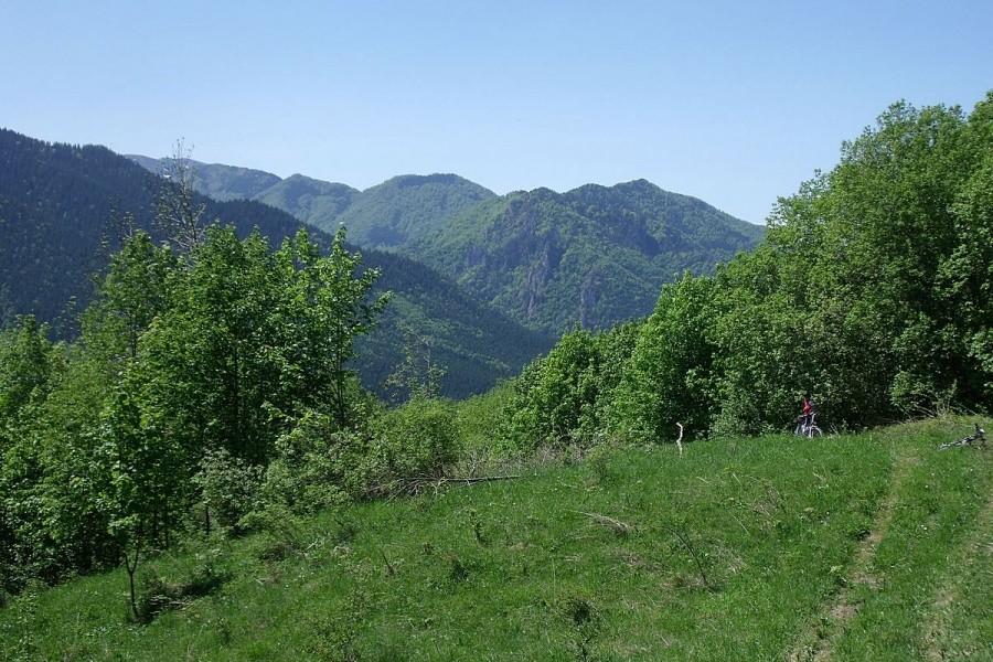 Gubimy szlak