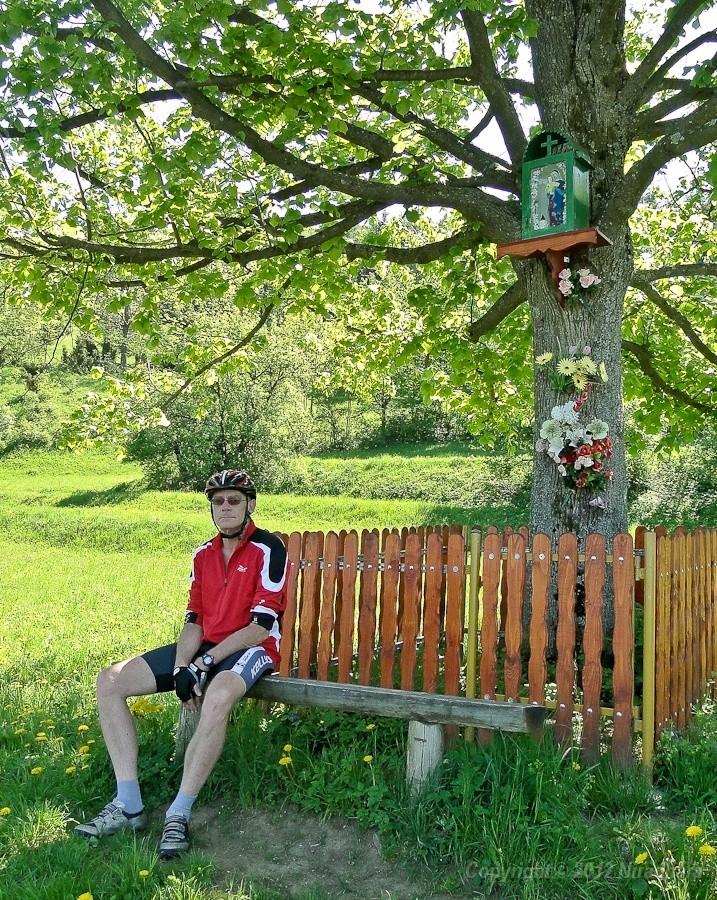 Kajman medytujący pod przydrożną kapliczką