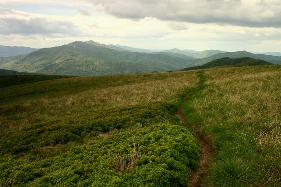 Wiosenne Bieszczady