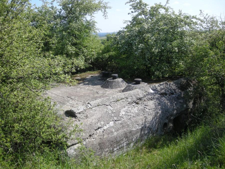 Regelbau 668 na Wzgórzu Parchowatka