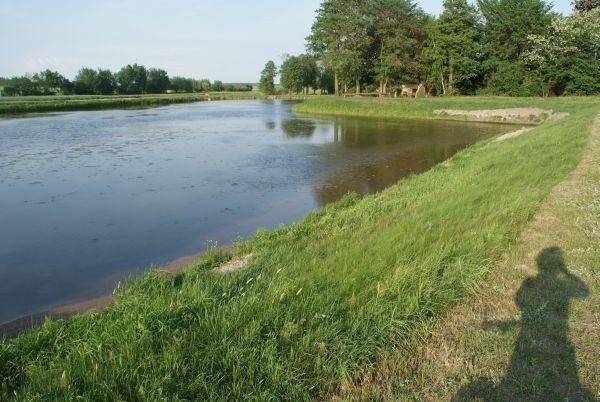 dalej teren prywatny, w Łazisku