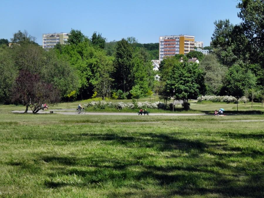 W oddali Osiedle Arkońskie - tereny tuż przed lasem.