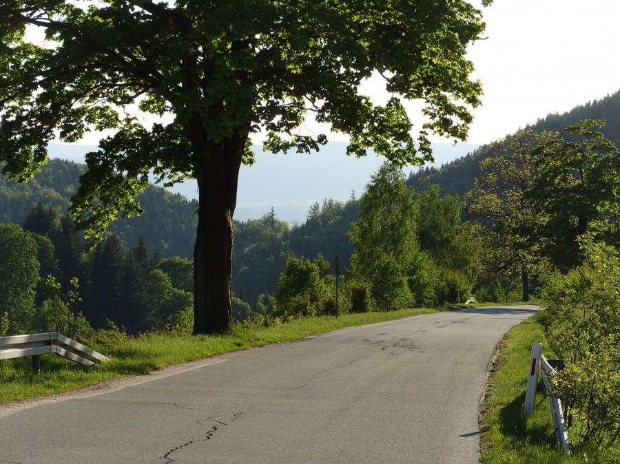 Zjazd w stronę Idzikowa, ja robiłem zdjęcia a pewna Pani pojechała dalej, po szaleńczym pościgu dogoniłem ją dopiero w Idzikowie. A wolno nie jechałem 67km/h ;)