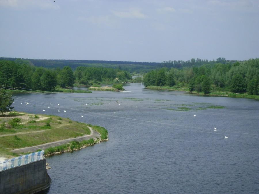 Pilica