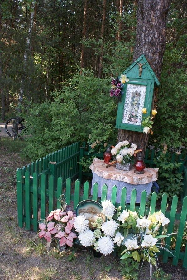 kapliczka przy drodze do Spały, zawsze ją widzę od tyłu
