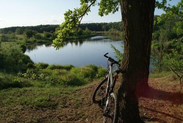przez piachy dotarłam tutaj. Jestem tu pierwszy raz, zakole Pilicy