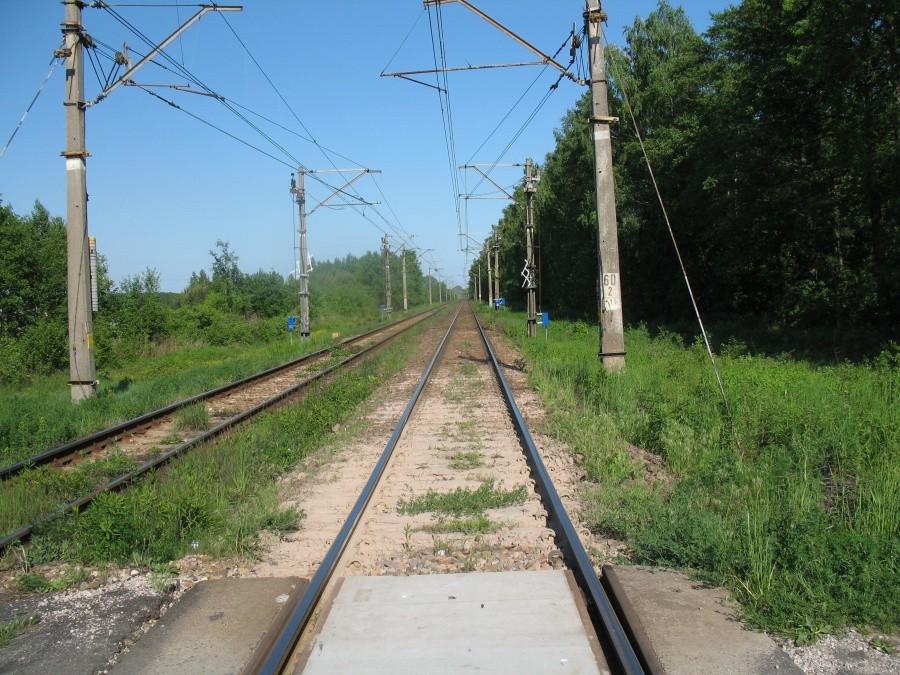 linia kolejowa nr 12 Łuków Skierniewice- przejazd w okolicy Koryt