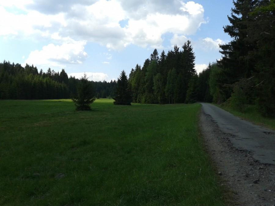 Wspomniana droga z Batorowa na Karłów. I ładna polanka ;).