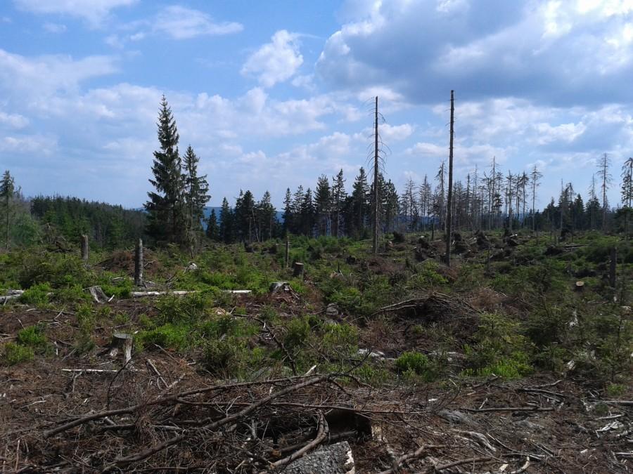 Mały plener na stronę Dusznik.