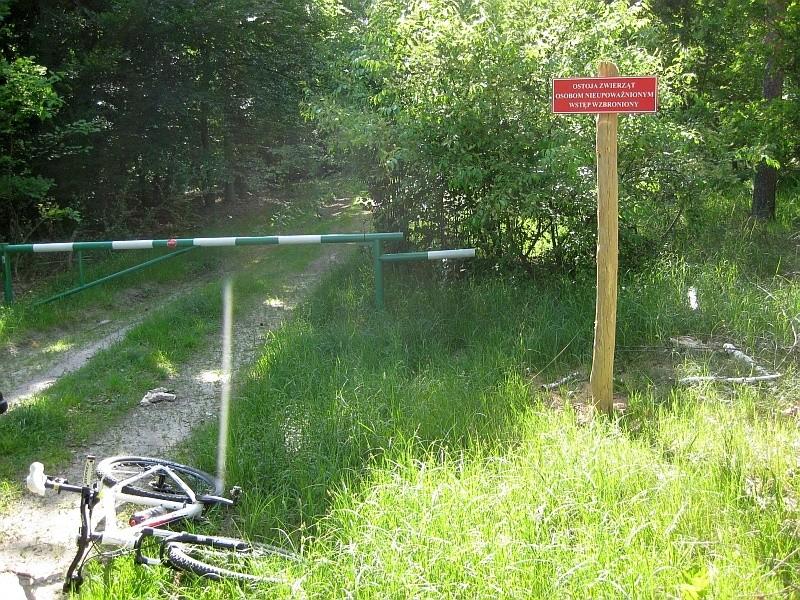 W moich wierzonkowskich lasach powstaje coraz więcej takich ostój dla zwierząt.