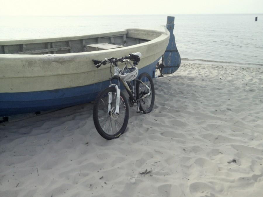 scott spaceruje po plaży