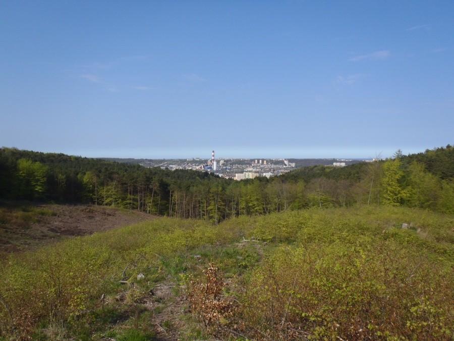 Panorama