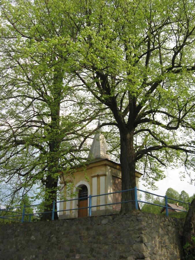 Kapliczka na Przełęczy Droszkowskiej
