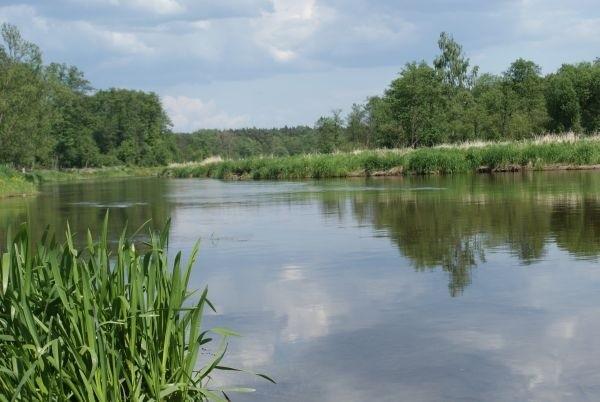 Pilica