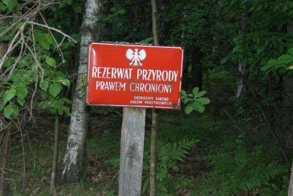 w Rezerwacie Konewka