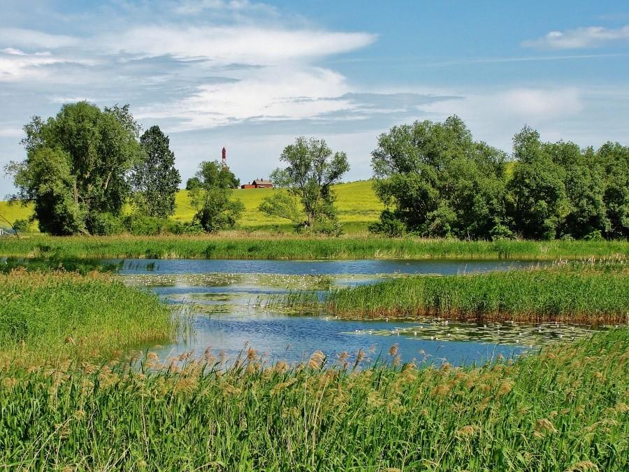 Krajobraz Kociewia.