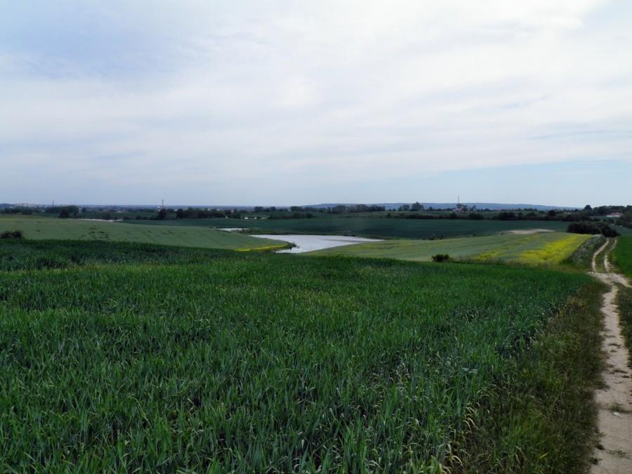 Jezioro a może tylko rozlewiska tuż za Karwowem.