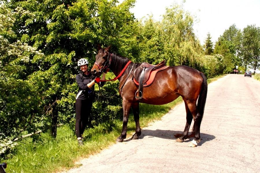 Ja i konik