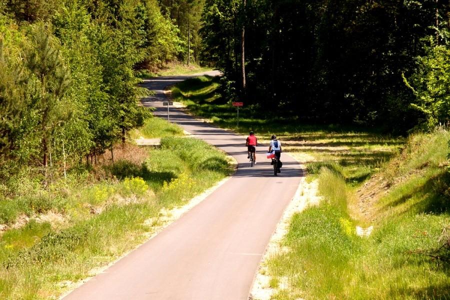Nasza ulubiona leśna droga )))