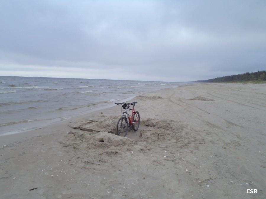 Brzeg Zatoki Gdańskiej