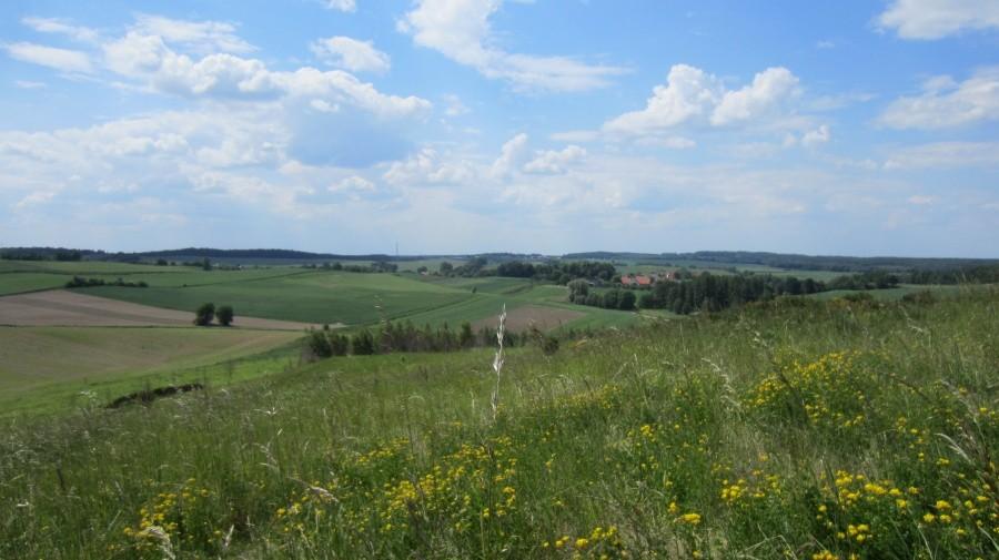 Góra Gnieżdziec - widok w stronę Kuraszkowa