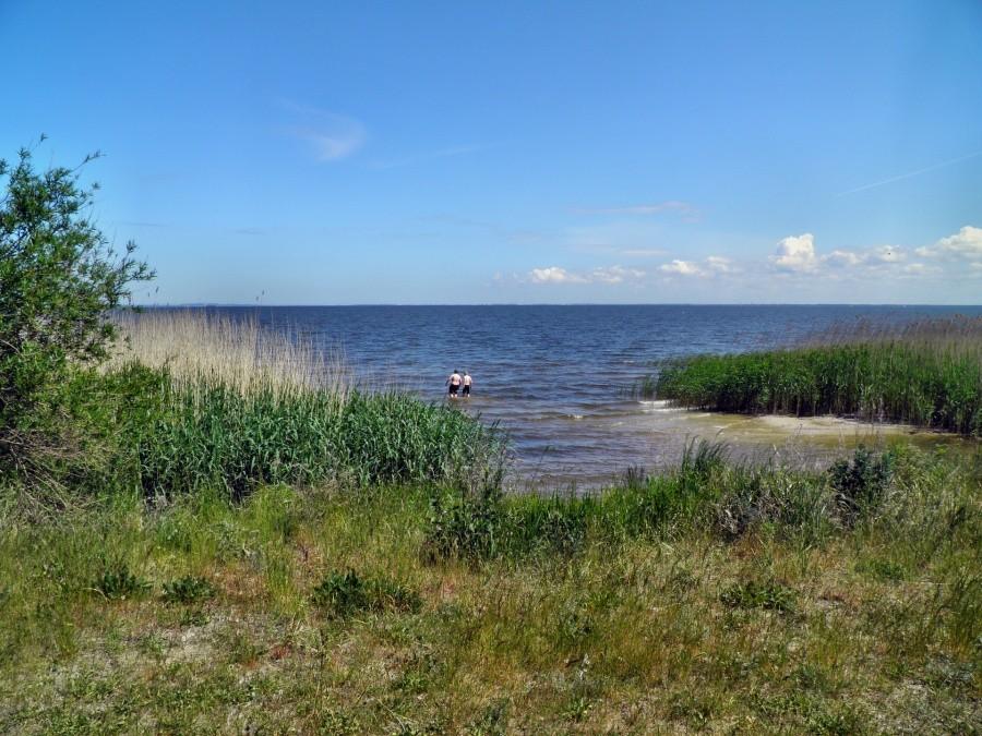 Pluskanie w zalewie - na dzikiej plaży.