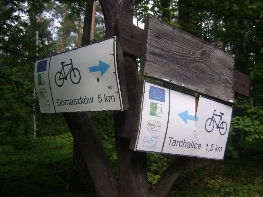 Drogowskaz rowerowy.