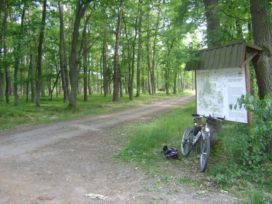 Przerwa w lesie przy informacji turystycznej.