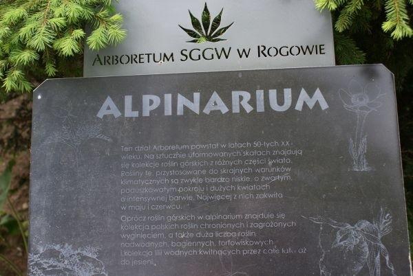 alpinarium w Rogowie