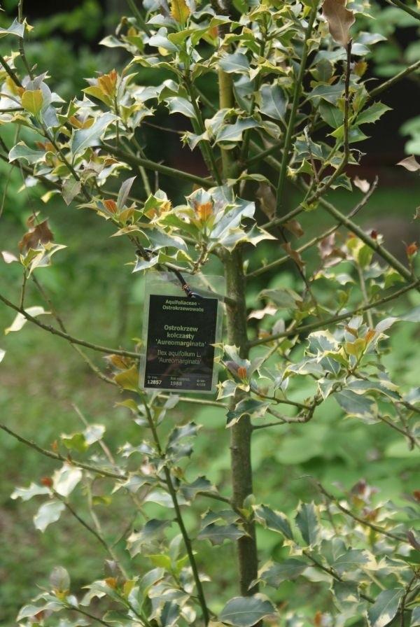 arboretum