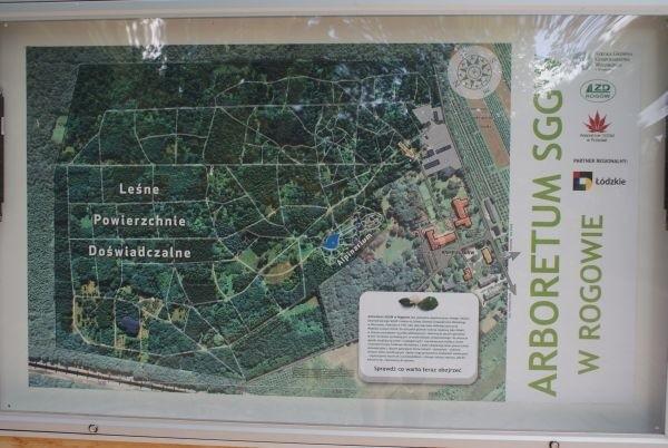 mapa arboretum w Rogowie