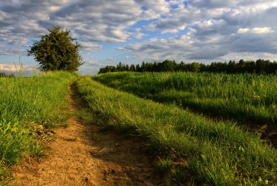 Wieczorową porą
