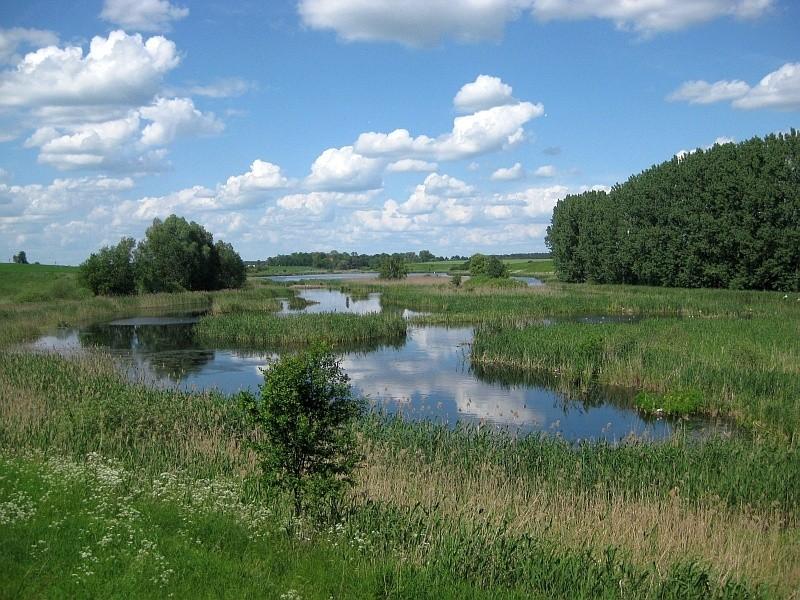 Jezioro Rybno Małe