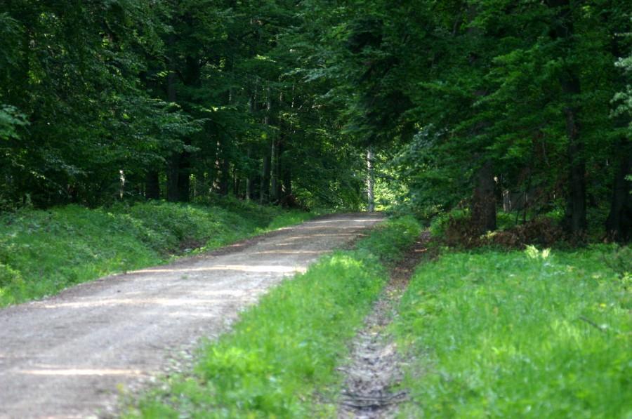 Jamna - miłe SYFU początki