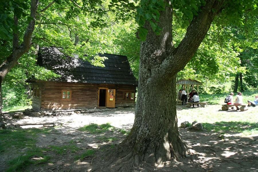 Zaraz na początku jest budka z piwem