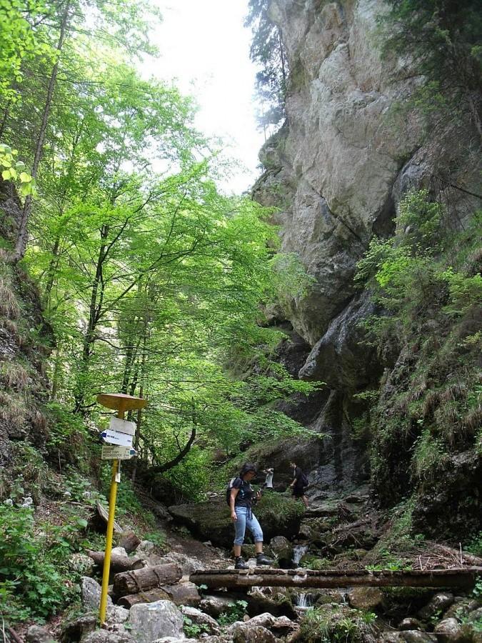 Na rozwidleniu szlaków