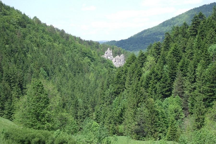 Tam byliśmy