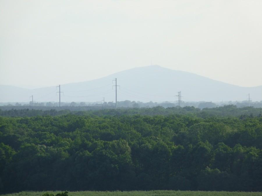 Wieża widokowa - widok 2