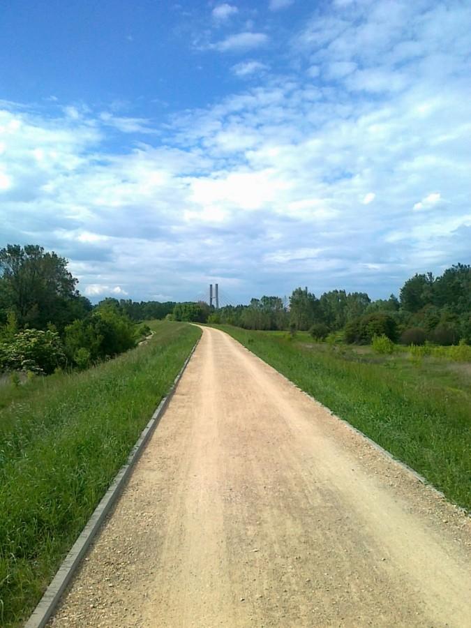 Nowa ścieżka na Siekierkach