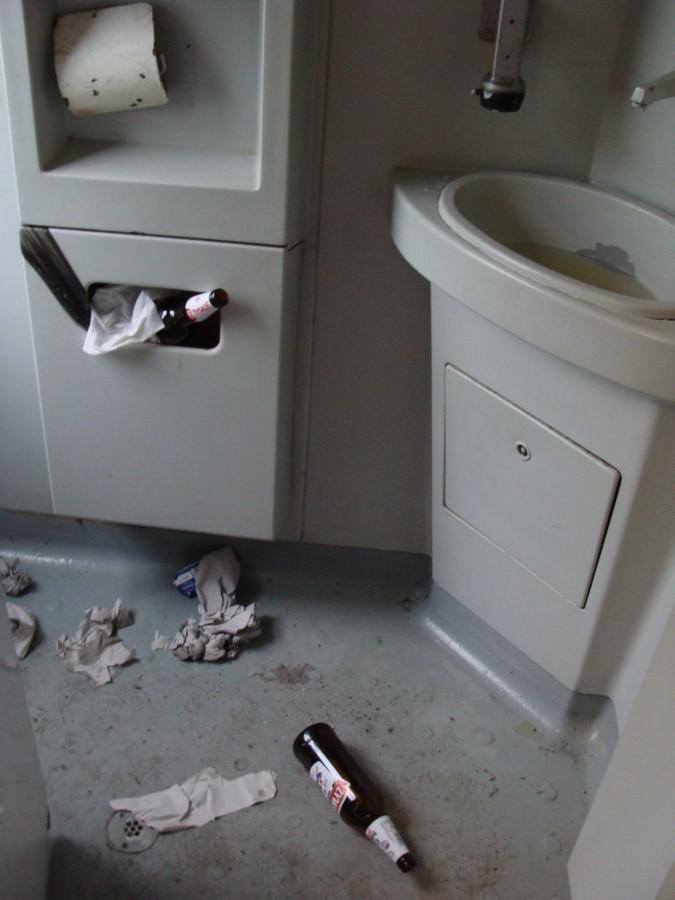 WC w TLK - krajobraz po podróży