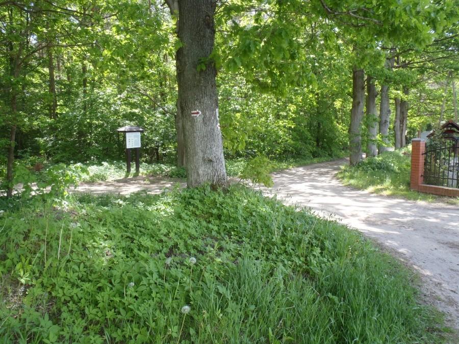 Ścieżka